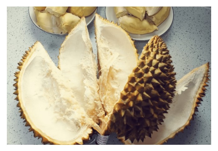 Read more about the article 榴莲壳加工成肥料的商机如何? 一吨果壳能制出多少肥料?