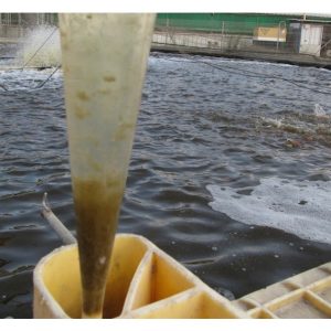生物絮团技术(Biofloc)在水产养殖中越来越重要，它主要用于什么类型的水产养殖?其原理是什么?