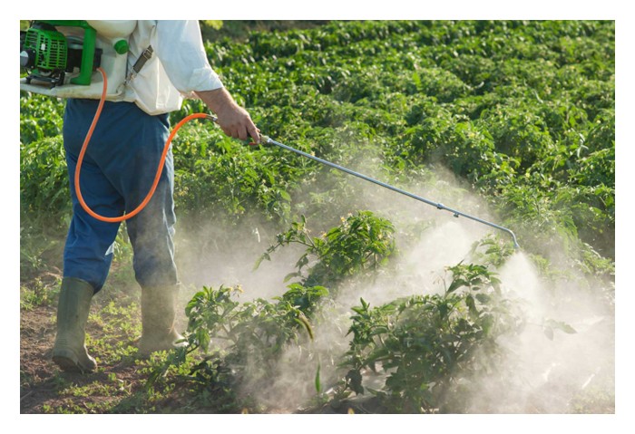 Read more about the article 农药混合使用是否安全? 有哪些农药不能混?