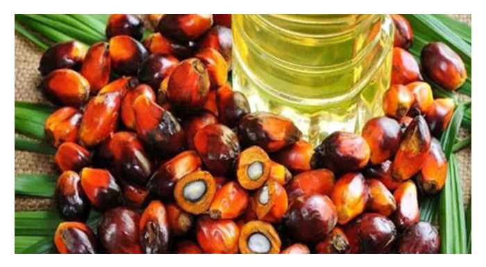 Read more about the article 为什么“人造棕油”这么难?—— 通俗解读