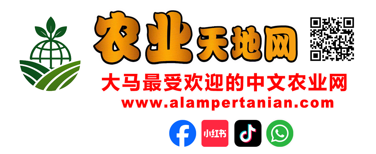 农业天地网