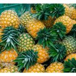 MD2黄梨是否适合采用控释肥? 和常规肥相比有什么优劣?