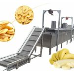 农友投入加工品种的香蕉种植及小型加工设备以提升产值与收入：方案探讨