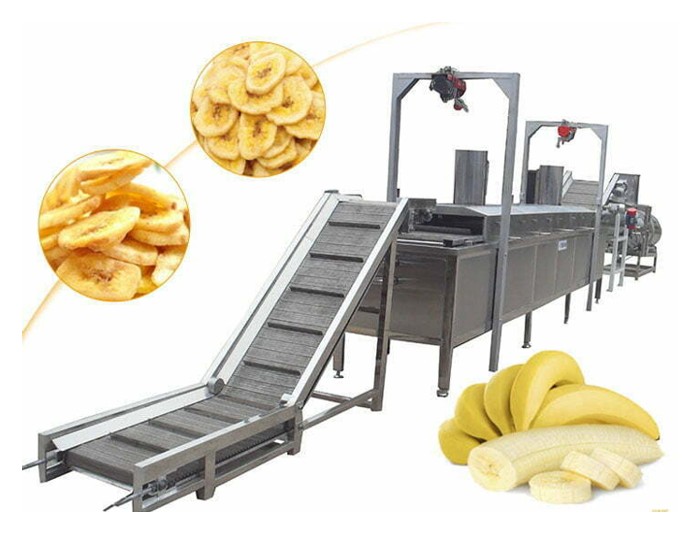 Read more about the article 农友投入加工品种的香蕉种植及小型加工设备以提升产值与收入：方案探讨