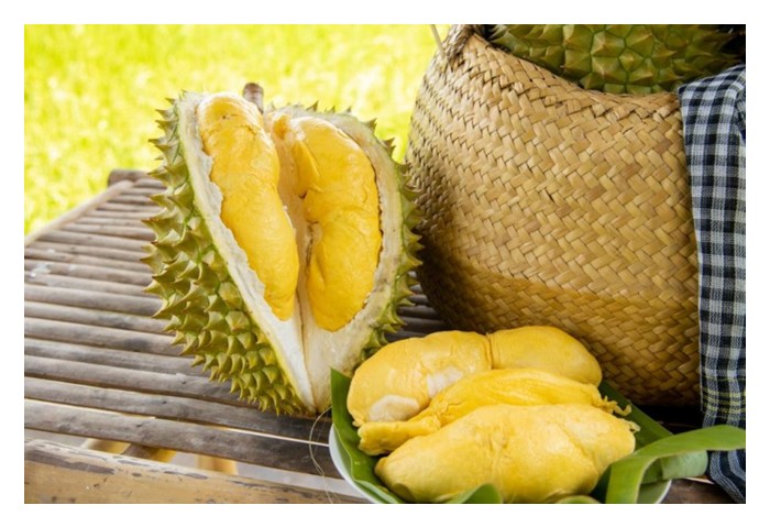 Read more about the article 越南和泰国榴莲都只靠五六品种打天下，反观大马品种较多元，风味也多样化?