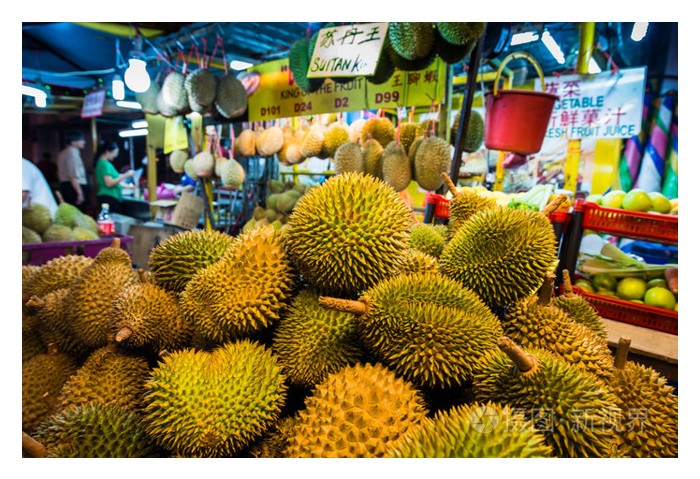 You are currently viewing 供出口或内需: 榴莲农友二选一,管理法有轻重之分