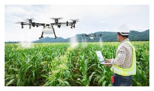 接手祖传园地的年轻农民，采纳农业科技扩展事业为方向