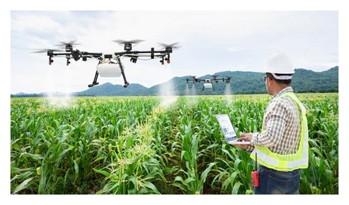 Read more about the article 接手祖传园地的年轻农民，采纳农业科技扩展事业为方向