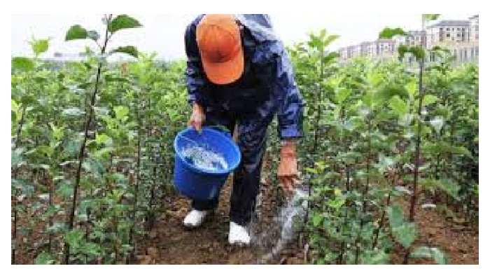 Read more about the article 城市养蜂热潮：巴黎屋顶上蜂蜜的味道和市场