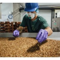 从昆虫到餐盘：荷兰的昆虫蛋白养殖技术如何颠覆食物结构?