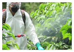 生物农药在大马的前景：绿色农业的下一个突破口