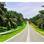 MPOB在种植上的愿景是什么? 与现实可有落差？