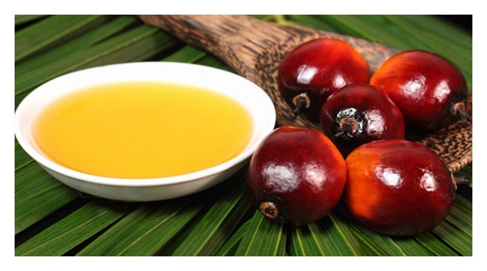 Read more about the article 大马油棕种植面积远落印尼，未来，大马棕油或以“优质油”面对世界，就犹如猫山王 VS 金杞头榴莲那样，以保国际地位?