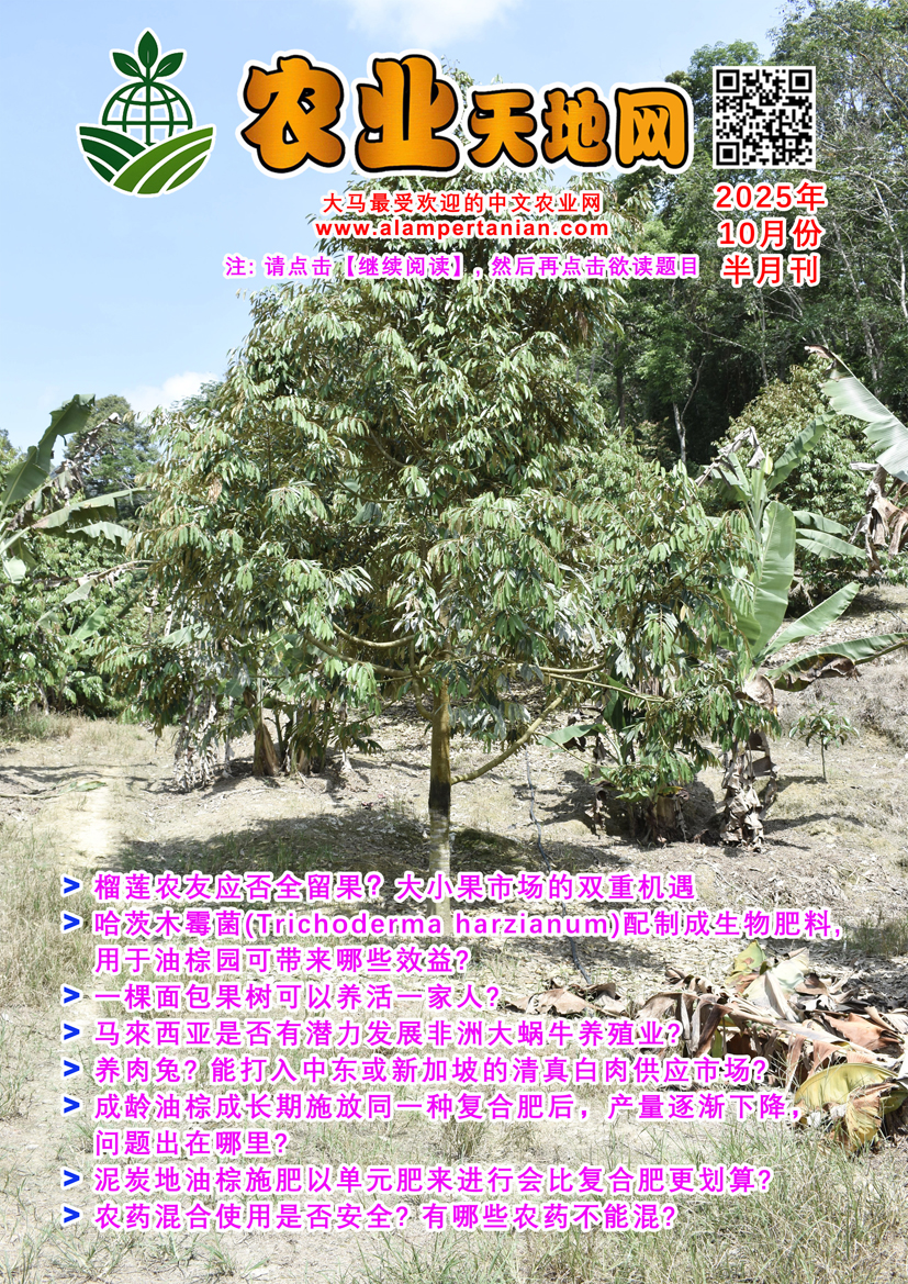 You are currently viewing 2025年10月份半月刊