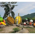 泰国如何主打榴莲休闲农场吸引游客?