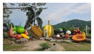 泰国如何主打榴莲休闲农场吸引游客?