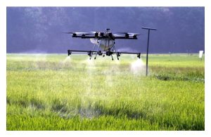 农药与肥料在稻鸭共生系统中能节省多少?