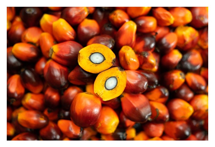 Read more about the article 棕油价上涨空间是否受到其他植物油制衡?