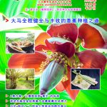 2025年11月份半月刊