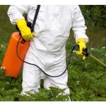 种菜种瓜难到就必须”叩见”病虫害? 可有避开之法?