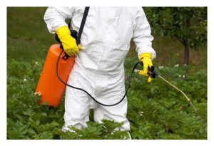 种菜种瓜难到就必须”叩见”病虫害? 可有避开之法?