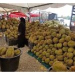 名种榴莲大倾销，价格亲民，民众大享口福!