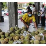 知名榴莲工作者寄语农友们 ：应选种别的品种，莫单一在猫山王，粉丝吃腻了想尝新口味!