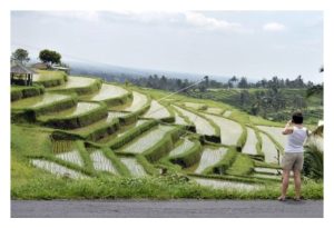 面对台风与强降雨，島民如何让农业’弯而不折’? – 印尼巴厘島苏巴克 (Subak) 水神灌溉系统