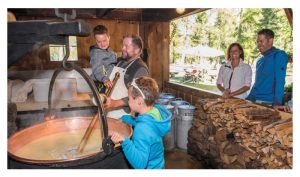 在没有冰箱的年代，高山牧民如何全年保存乳制品? – 瑞士阿尔卑斯高山牧场-奶酪熟成系统