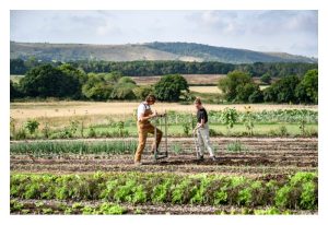 如何打造’百害不侵’的作物? 靠肥料? 激素或环保农药?