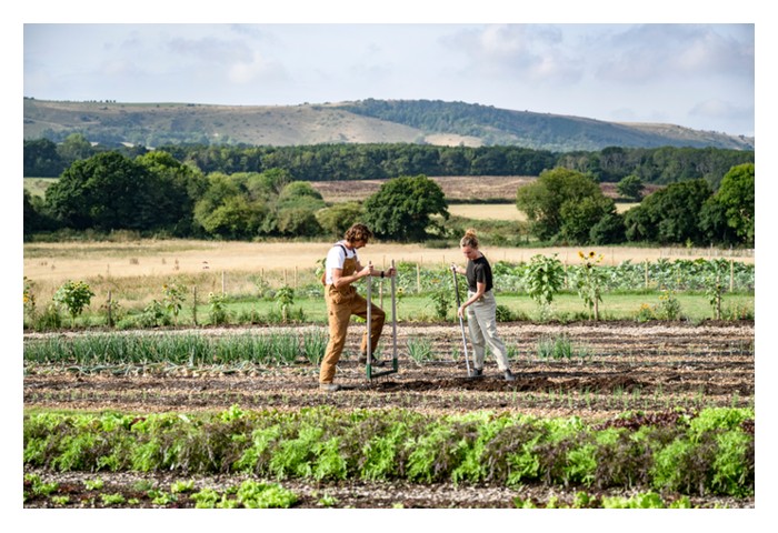 Read more about the article 如何打造’百害不侵’的作物? 靠肥料? 激素或环保农药?