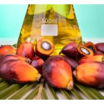 油棕树如何醇制油脂，这过程最需要的养分是啥?