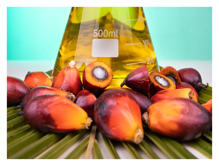 Read more about the article 油棕树如何醇制油脂，这过程最需要的养分是啥?