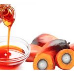 从各项研究里，棕油是否是所有植物油中最健康的食油?