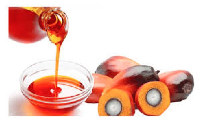 Read more about the article 从各项研究里，棕油是否是所有植物油中最健康的食油?