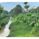 水源充足的园地，例如沟渠在旁，则没必要装置滴灌系统，反而花洒式更佳及省保养