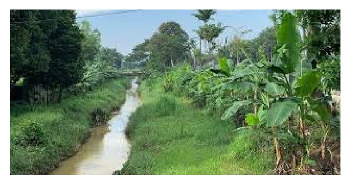 You are currently viewing 水源充足的园地,例如沟渠在旁,则没必要装置滴灌系统,反而花洒式更佳及省保养