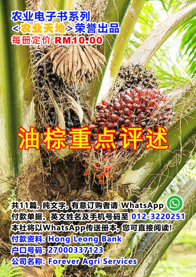 sawit-leaflet-251210-01a