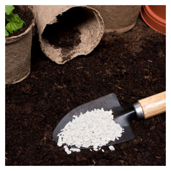 You are currently viewing 螯合肥料对农民有何益处?