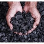 生物碳 (biochar) 生产能消化油棕广多余的空果串及果仁壳，且能改善土壤，更可用于碳信用交易赚取额外收入
