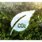 碳信用为何在油棕领域越来越重要?