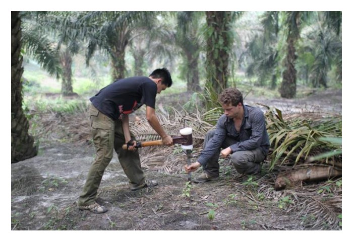 You are currently viewing 在大马，碳信用(Carbon Credits, 或称碳权) 如何计算，并如何为园主带来收入? (以10公顷油棕园来说明)