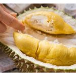 今后榴莲口福年年有：榴莲真的’自由’了吗？