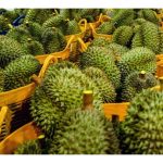 榴莲出口越多，果农越安全吗? 一个被忽略的残酷逻辑