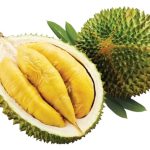 大马榴莲正改写全球高端水果版图