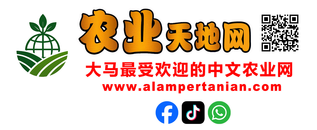 农业天地网